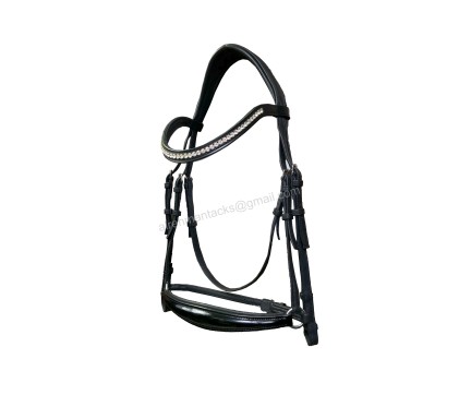 Leather Bridle 